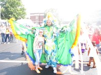 Picture 221- web